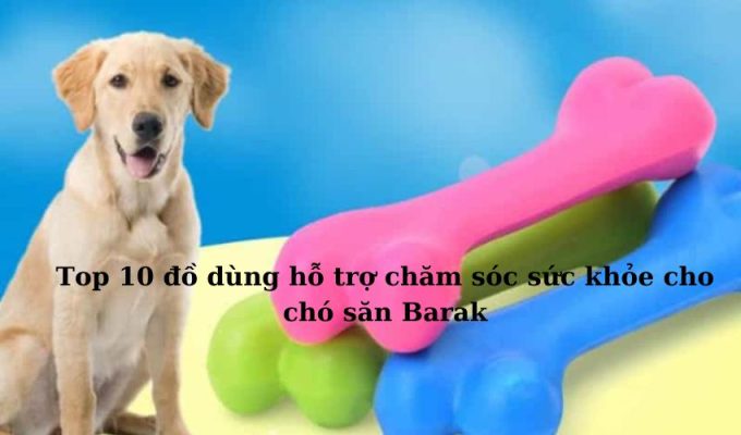 Top 10 đồ dùng hỗ trợ chăm sóc sức khỏe cho chó săn Barak