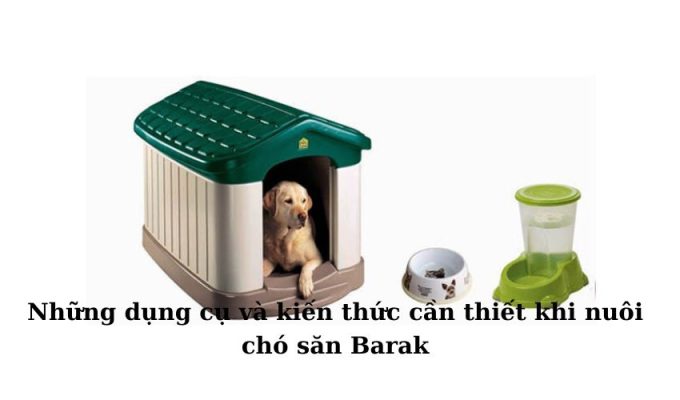 Những dụng cụ và kiến thức cần thiết khi nuôi chó săn Barak