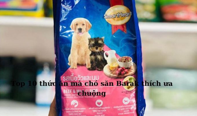 Top 10 thức ăn mà chó săn Barak thích ưa chuộng