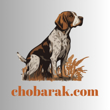 chobarak.com